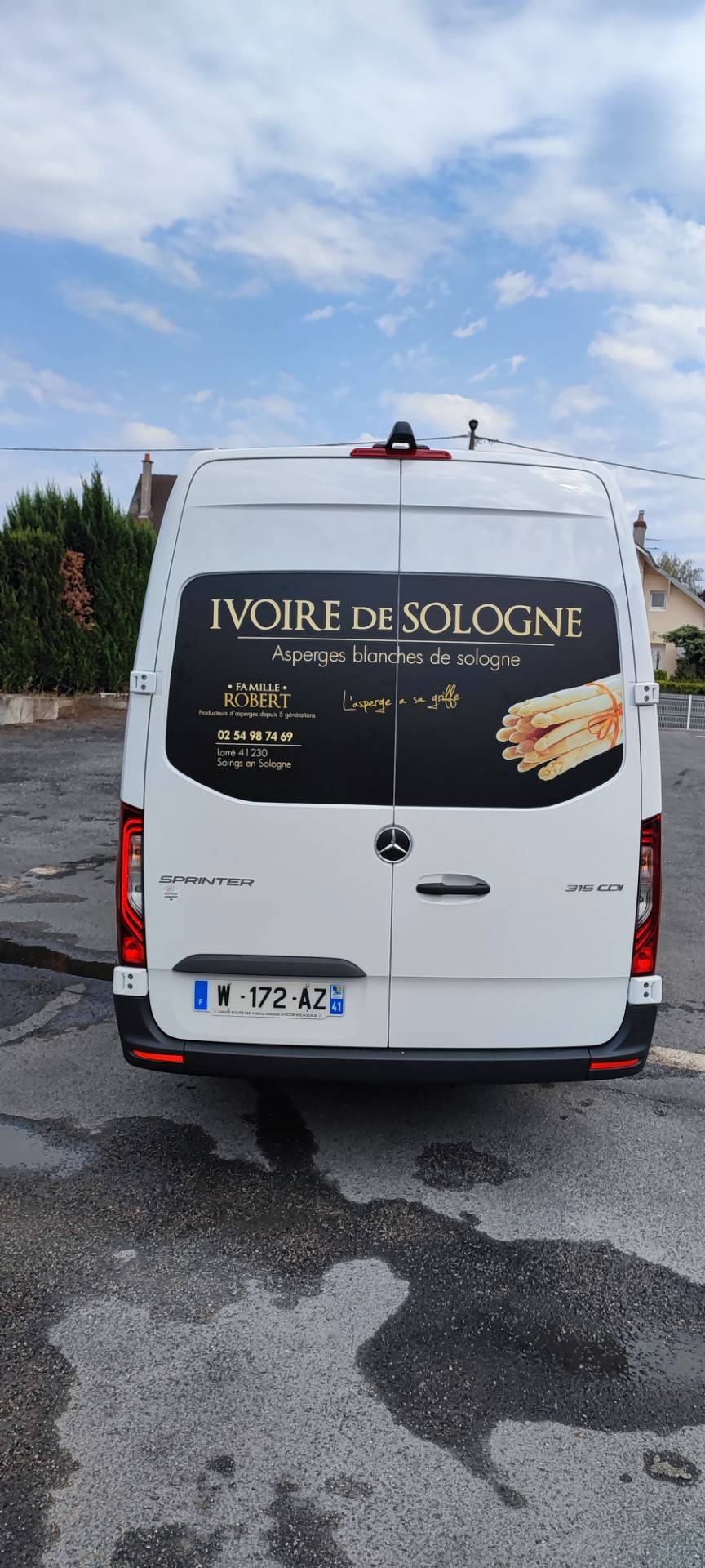 Flocage de véhicule standards (11)