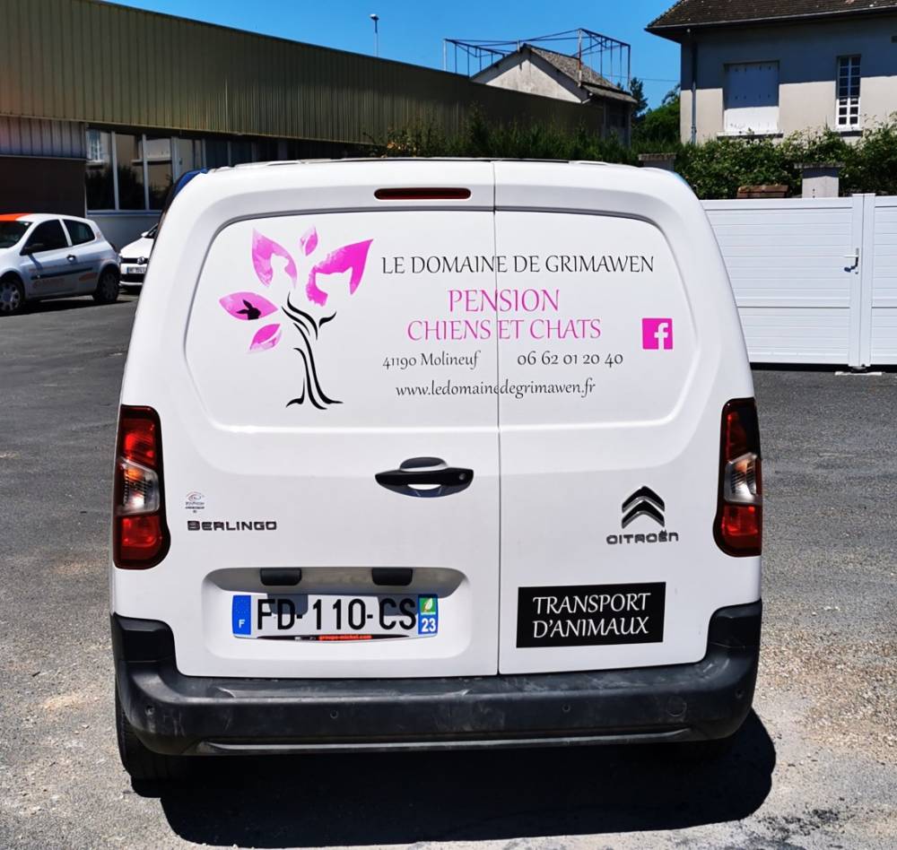 Flocage de véhicule standards (21)